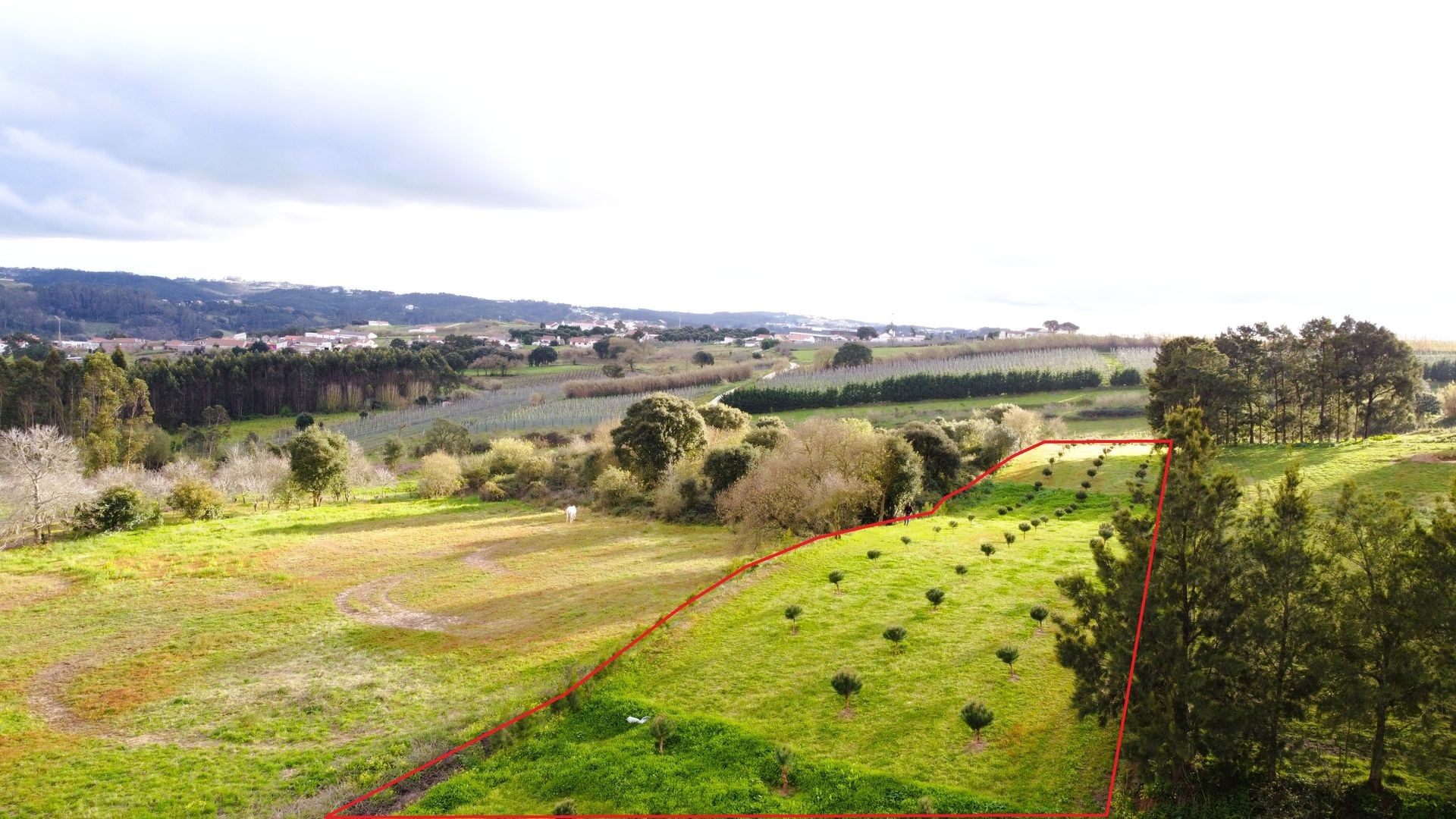 Land for sale in Alfeizerão, Portugal – perfect for building a single-family home near the Silver Coast beaches. Only 10 minutes from the ocean